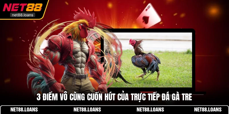 3 điểm vô cùng cuốn hút của trực tiếp đá gà tre