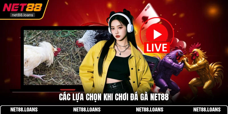 Các lựa chọn khi chơi đá gà NET88