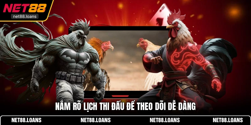 Nắm rõ lịch thi đấu để theo dõi dễ dàng