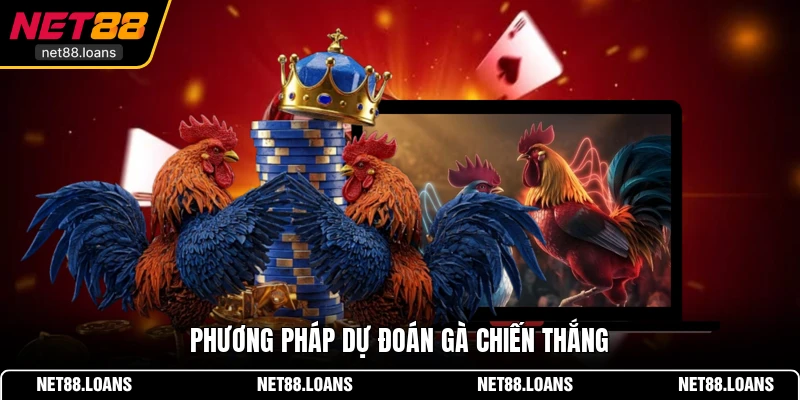 Phương pháp dự đoán gà chiến thắng