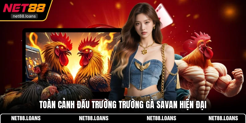 Toàn cảnh đấu trường Trường gà Savan hiện đại
