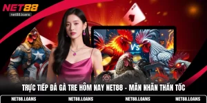 trực tiếp đá gà tre hôm nay