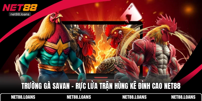 Trường gà Savan